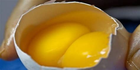 rüyada çift sarılı yumurta